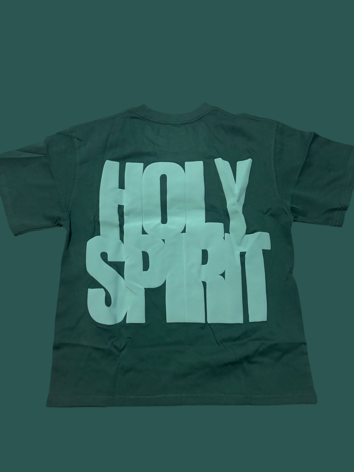 Holy Spirit brings freedom (heavy cotton t-shirt)